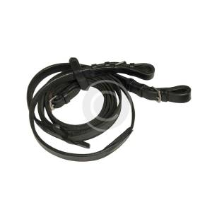 Reins