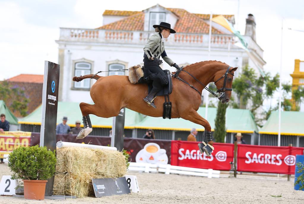 Working Equitation – A Complete Sport!