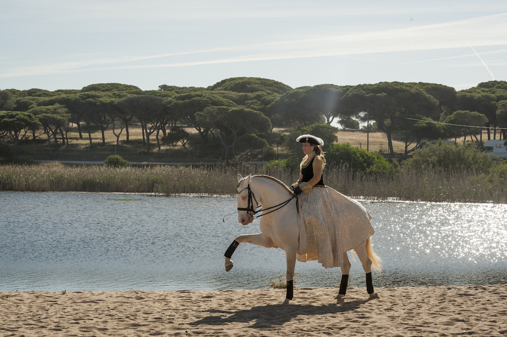 Equestrian Haven in Algarve