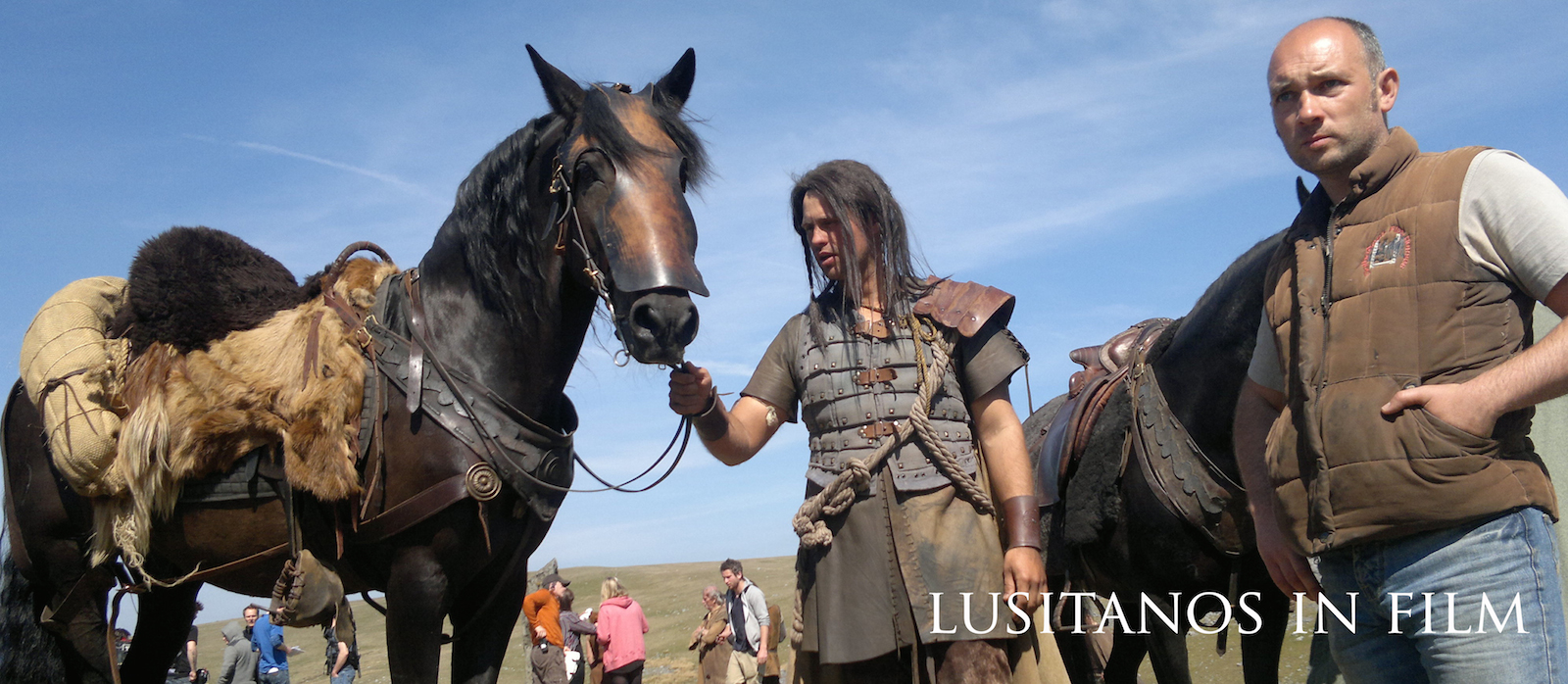 Dolbadarn Film Horses