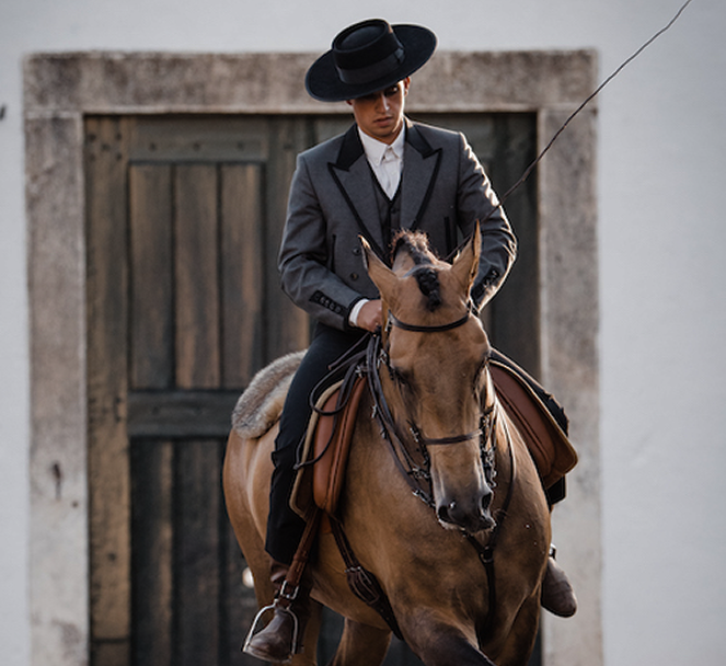 WORKING EQUITATION LUSITANOS