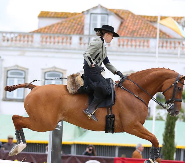 Working Equitation – A Complete Sport!