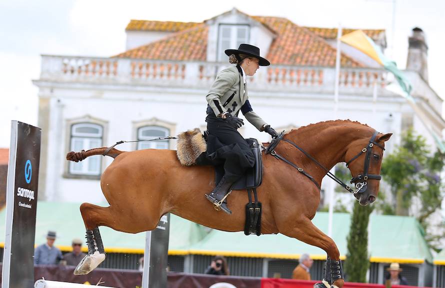 Working Equitation – A Complete Sport!