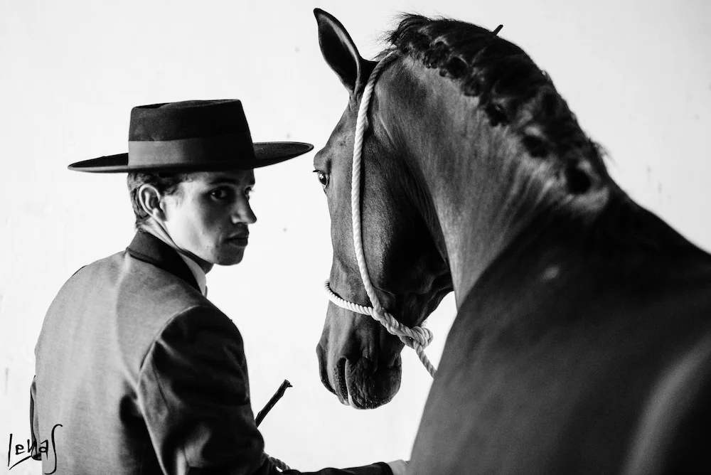 Moment-golega-lusitano-heritage-lusitano-colt-golega