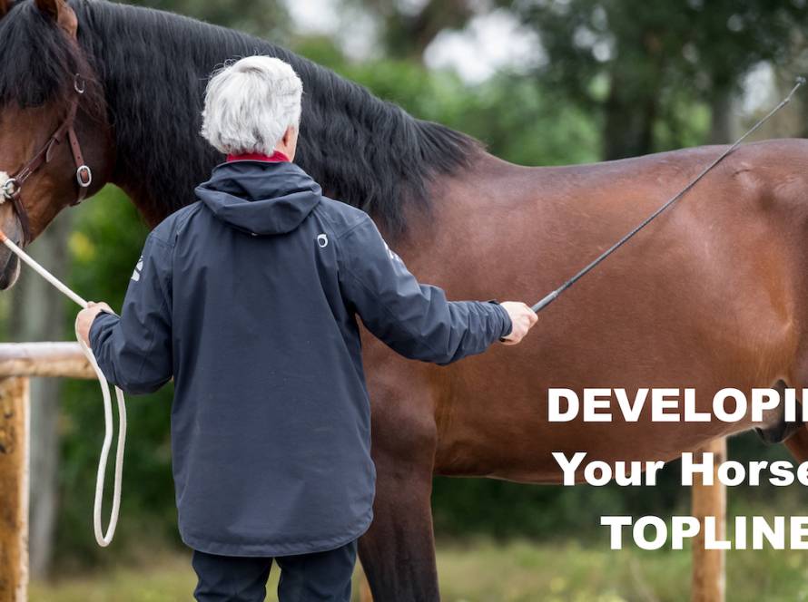 All About The Topline of a Horse