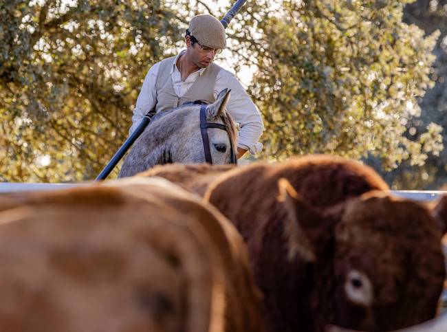 Origins of the Working Equitation Obstacles