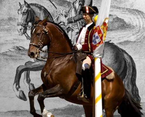 12_Portuguese_School_of_Equestrian_Art_nuno-cavaco