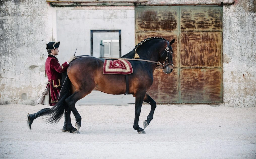 D3X0647_original-1016x630