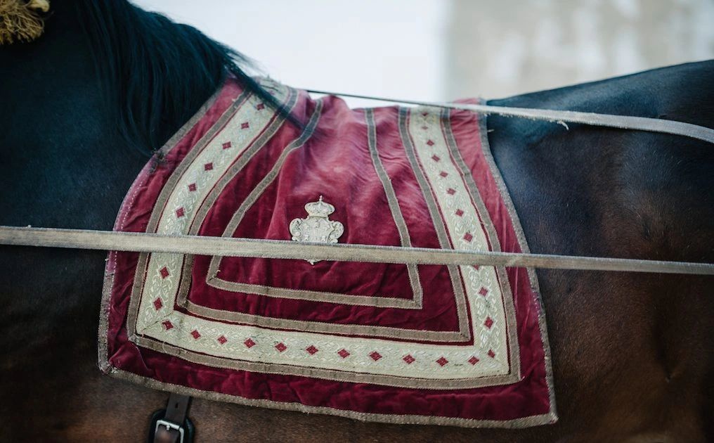 D3X0653_original-1016x630 (1)