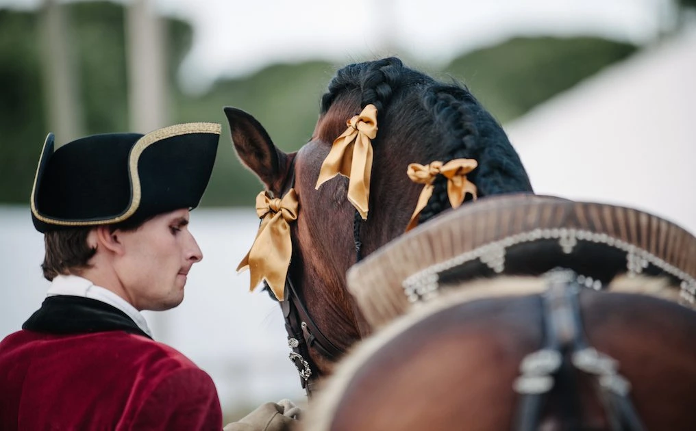 D3X0716_original-1016x630