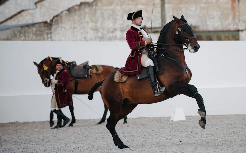 D3X0724_original1-1016x630