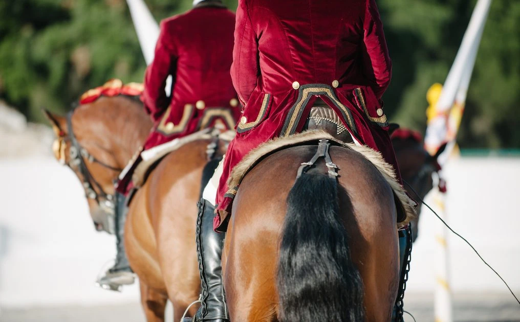 D3X0770_original-1016x630 (1)