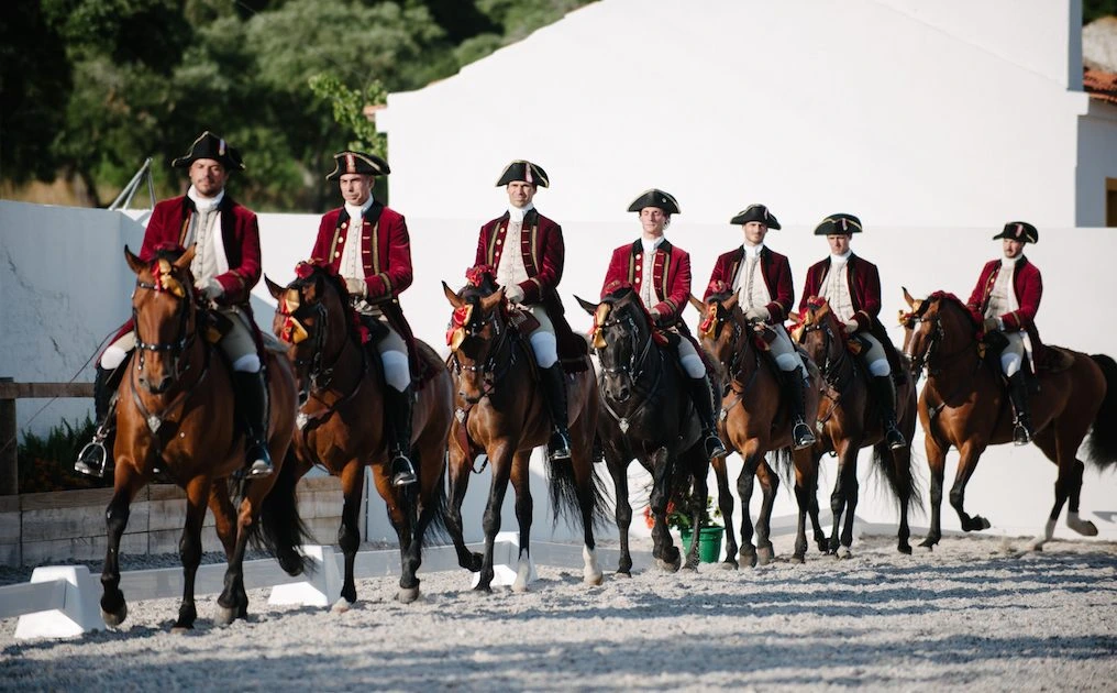 D3X0773_original-1016x630