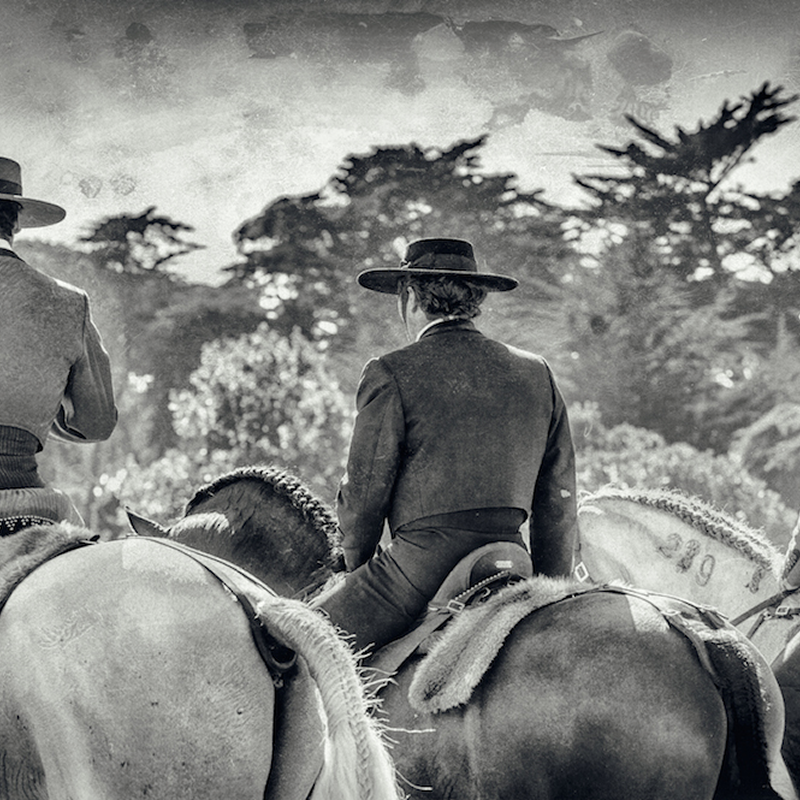 Discover Portugal’s Equestrian-3