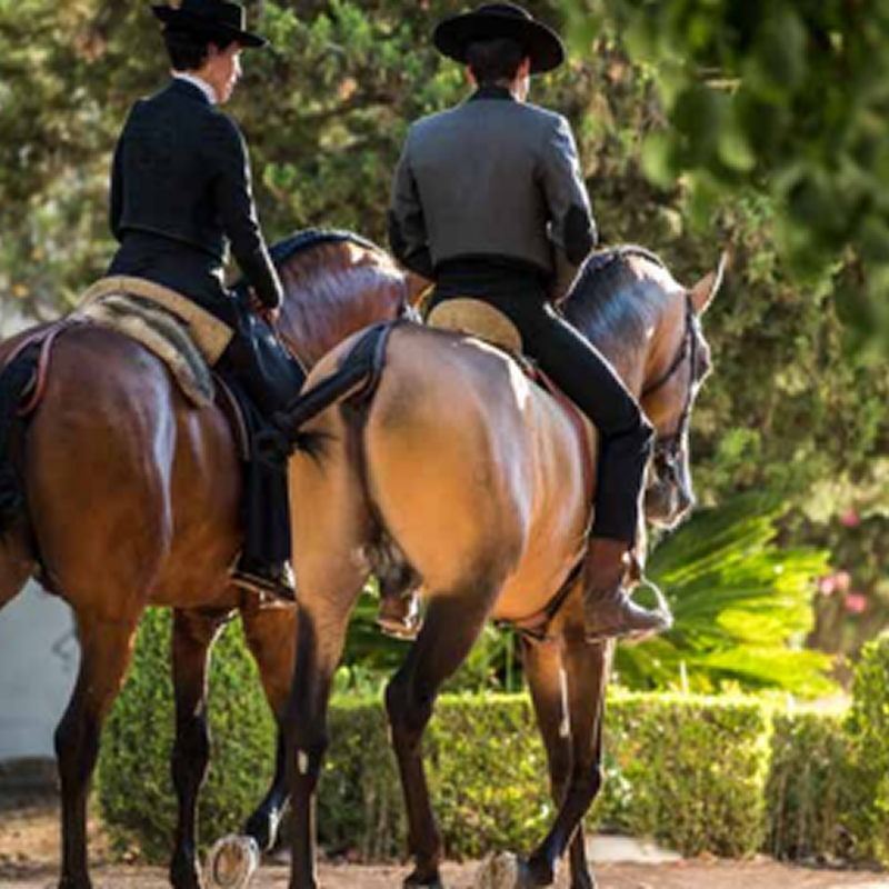 Discover Portugal’s Equestrian-1
