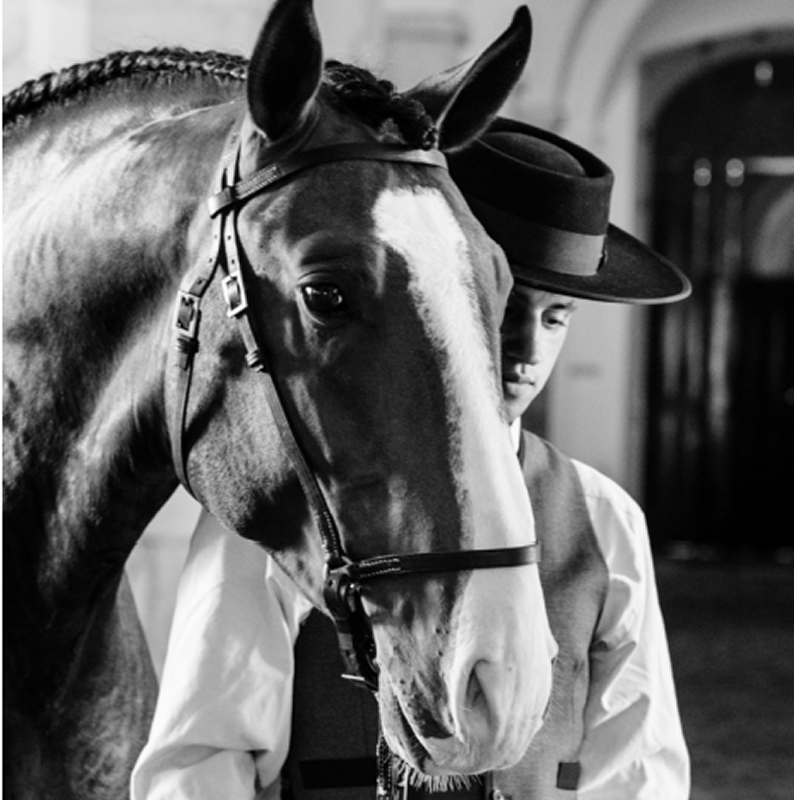 Discover Portugal’s Equestrian