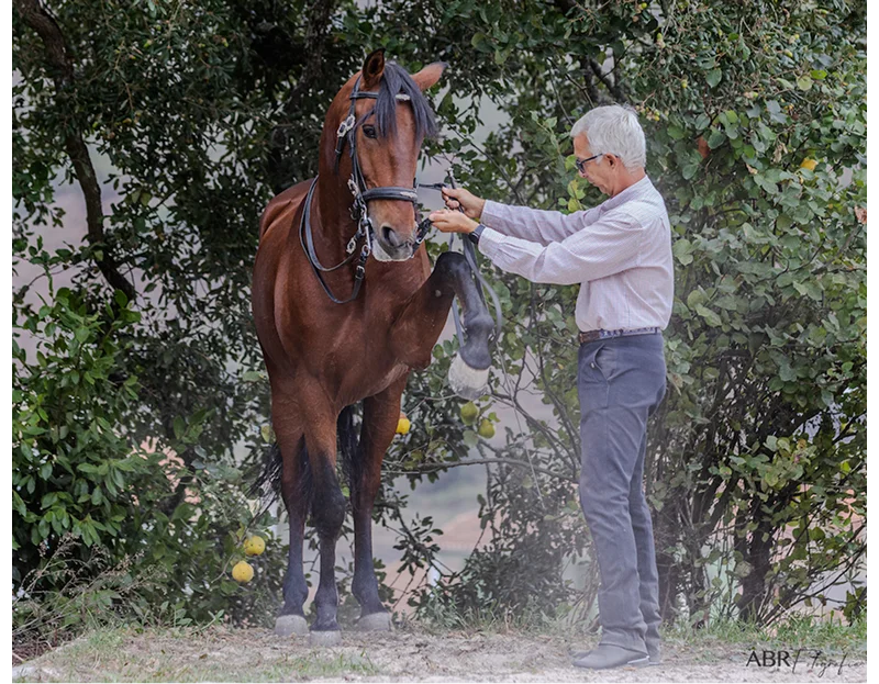 HOLIDAY TERMS AND CONDITIONS