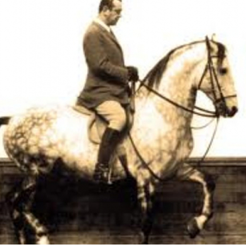 CLASSICAL RIDING MASTERS