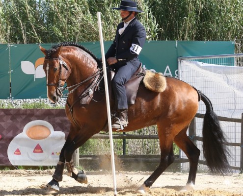 Slalom-poles-Single-495x400