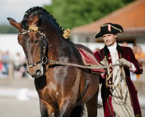 PORTUGUESE SCHOOL OF EQUESTRIAN ART
