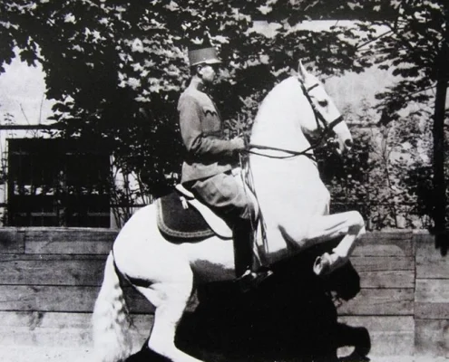 CLASSICAL DRESSAGE