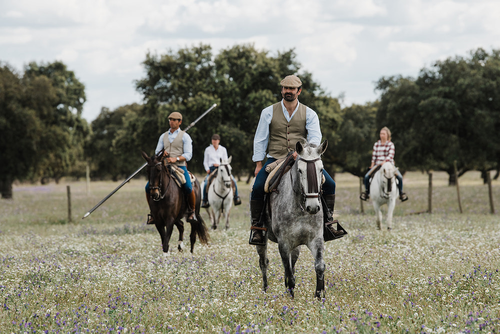 Herd da Carapuca CasadeCampo