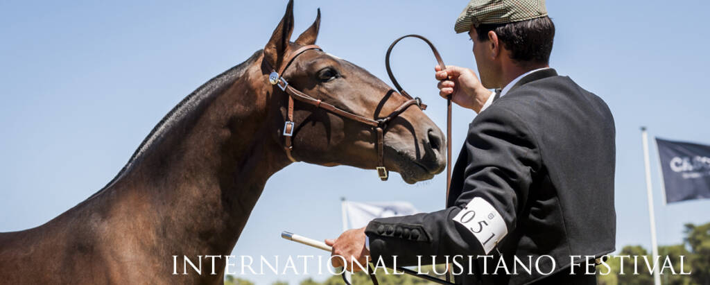 Festival Internacional do Cavalo Lusitano
