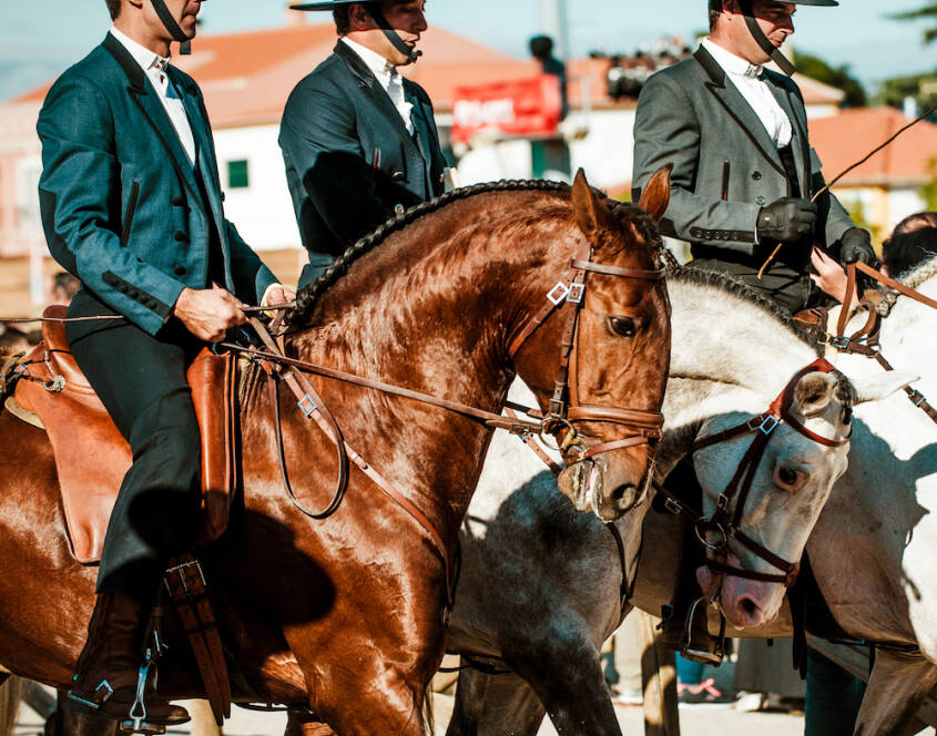 GOLEGA NATIONAL HORSE FAIR