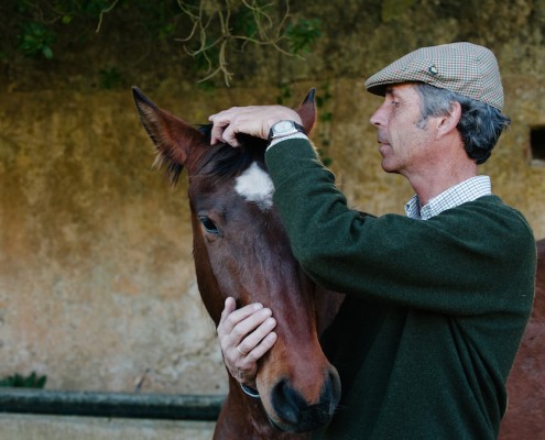 joao-pedro-rodrigues-lusitano-foal