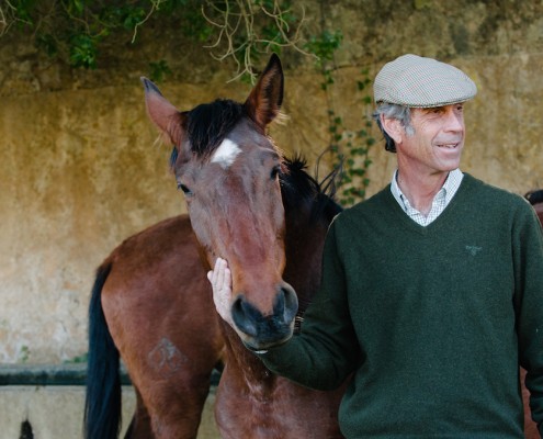 joao-pedro-rodrigues-lusitano-foal