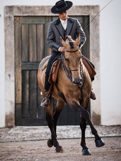 WORKING EQUITATION LUSITANOS