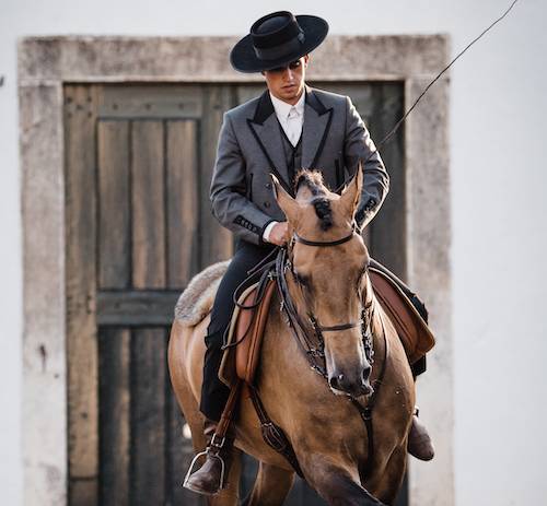WORKING EQUITATION LUSITANOS