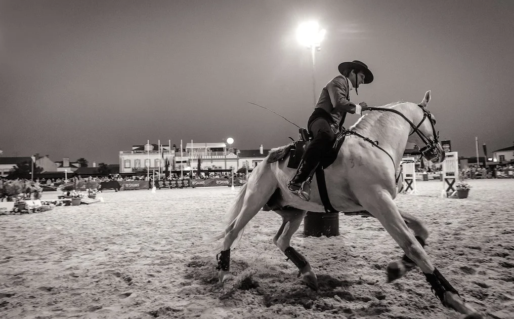 golega-ctanierephotographie-lusitano-heritage
