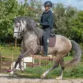 Cheryl Quast Stonehedge Stables Canada