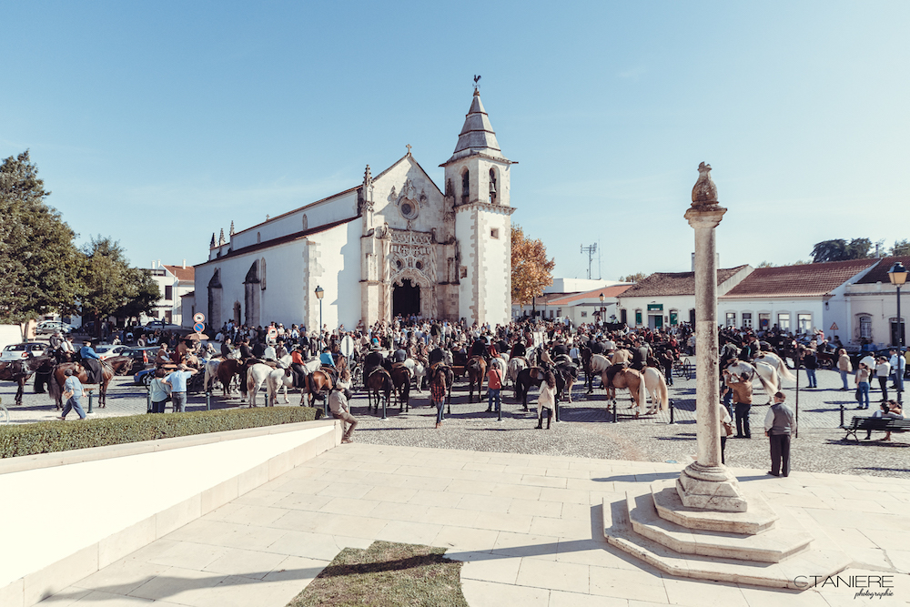 golega-ctanierephotographie-lusitano-heritage