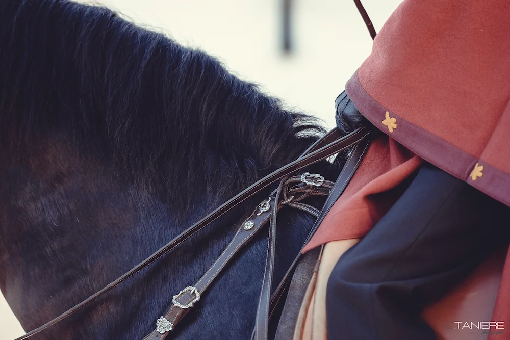 golega-ctanierephotographie-lusitano-heritage