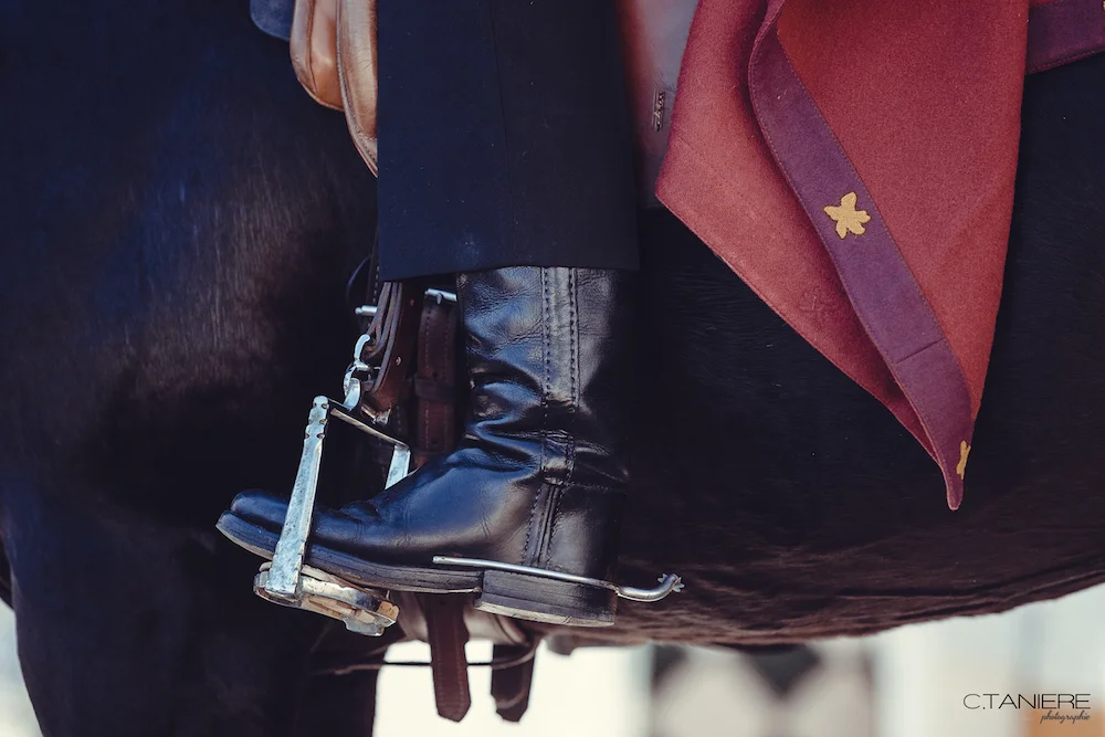 golega-ctanierephotographie-lusitano-heritage