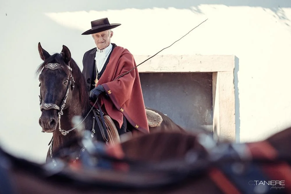 golega-ctanierephotographie-lusitano-heritage