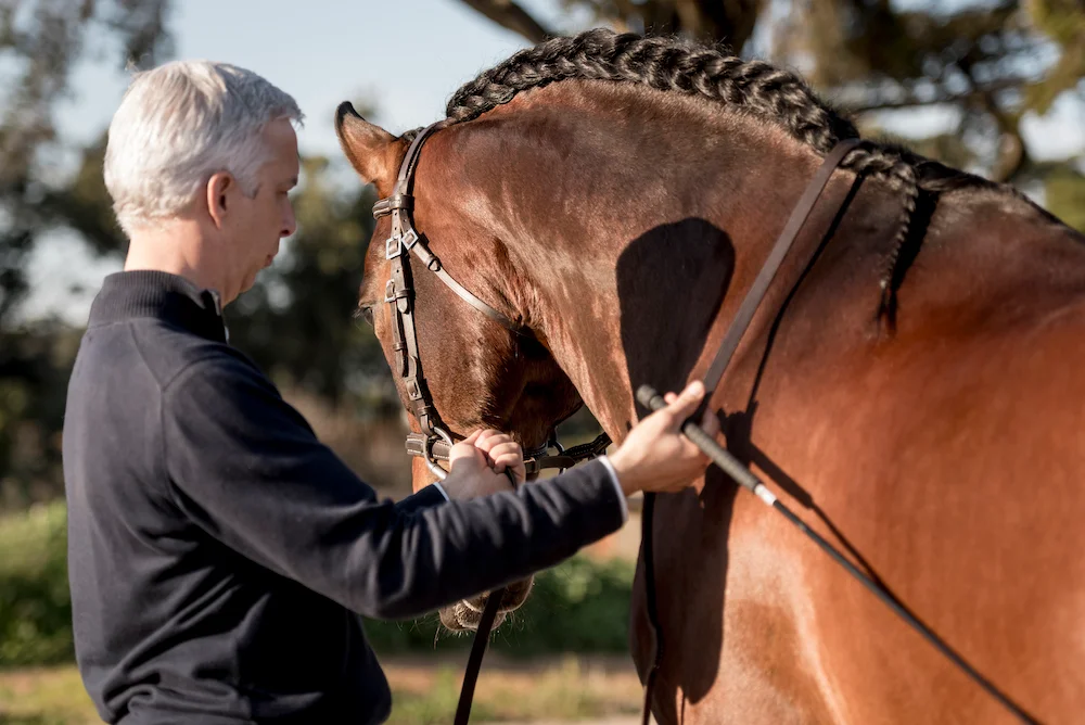 Introduction to Working In Hand