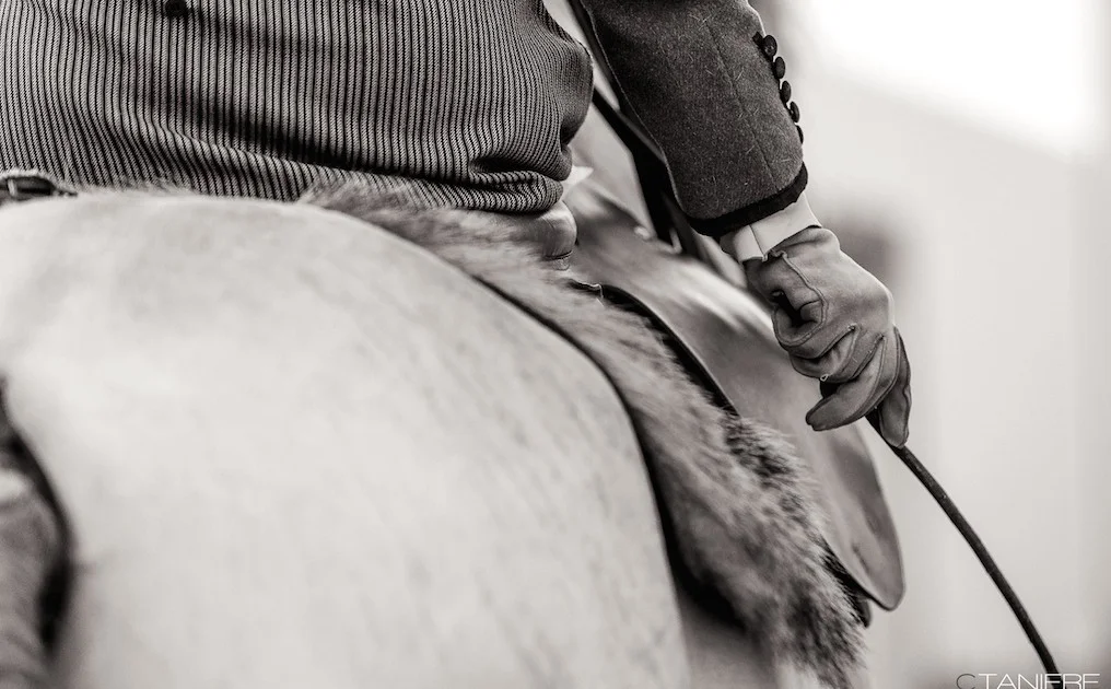 side-saddle-golega-ctanierephotographie-lusitano-heritage