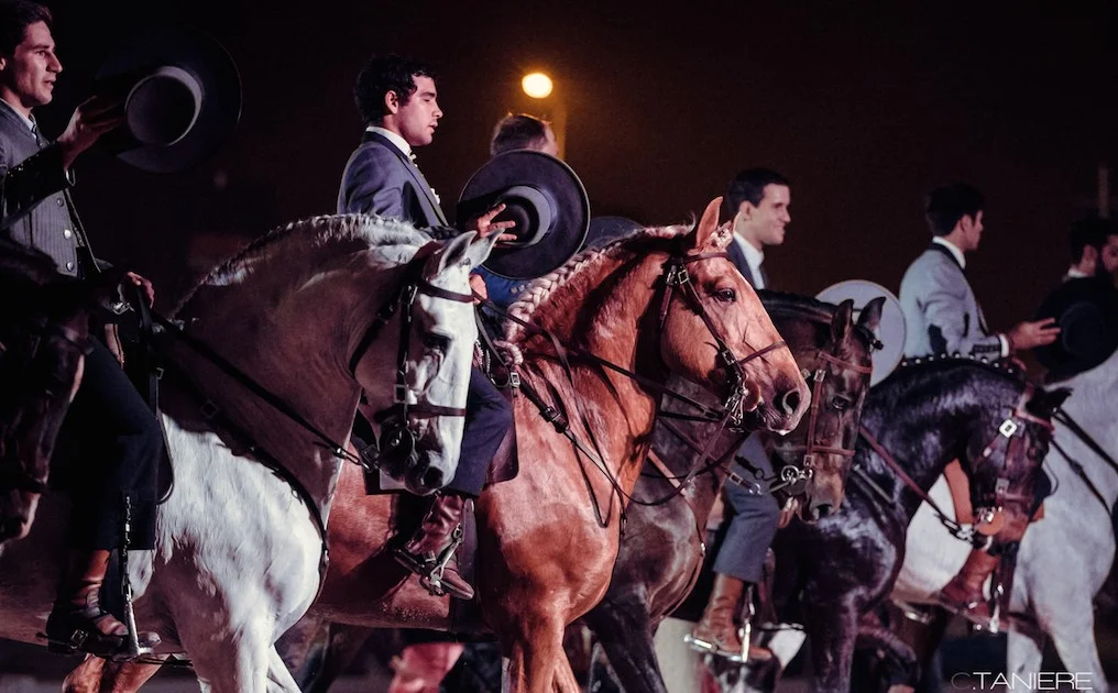 golega-ctanierephotographie-lusitano-heritage