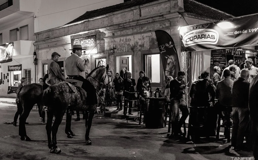 golega-ctanierephotographie-lusitano-heritage