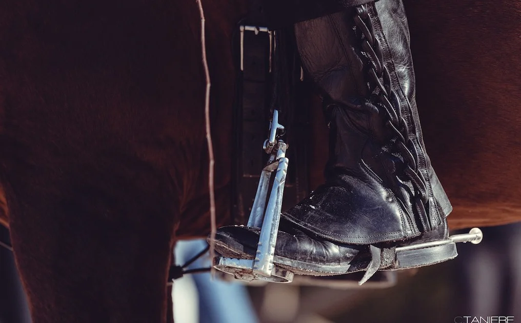 golega-ctanierephotographie-lusitano-heritage$