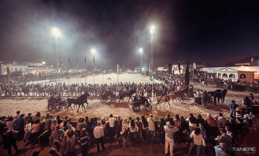 golega-ctanierephotographie-lusitano-heritage