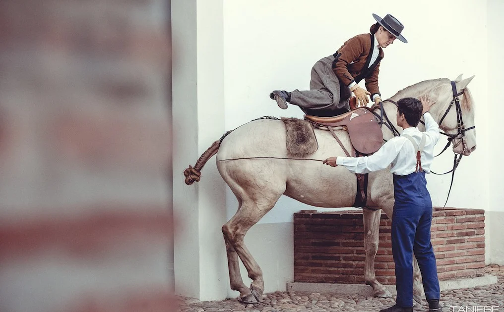 golega-ctanierephotographie-lusitano-heritage