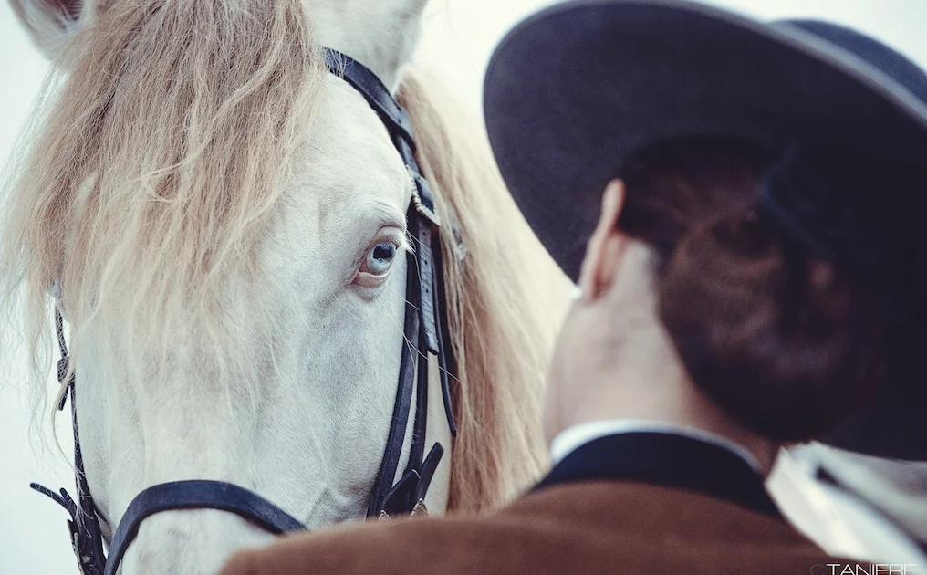 golega-ctanierephotographie-lusitano-heritage