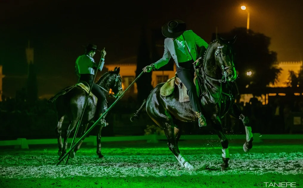 golega-ctanierephotographie-lusitano-heritage