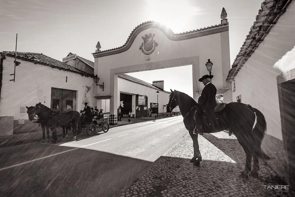 golega-ctanierephotographie-lusitano-heritage