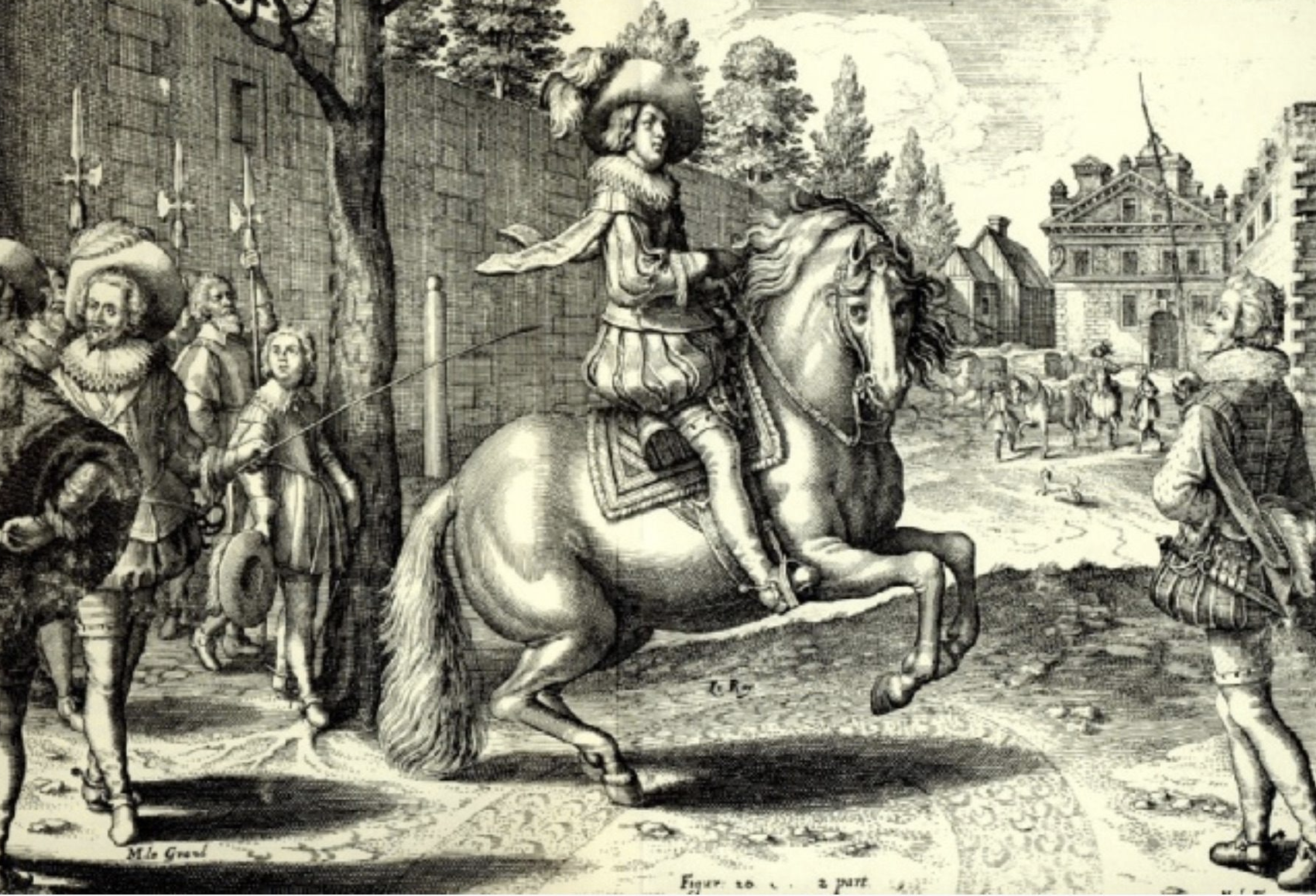 ancient horse riding masters by lusitano heritage